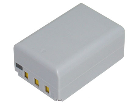 Remplacement Batterie Appareil PhotoPour CASIO Exilim Pro EX F1