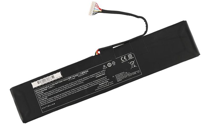 Remplacement Batterie PC PortablePour CLEVO L140CU